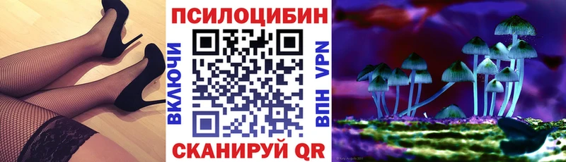 цены Воронеж Галлюциногенные грибы Psilocybe